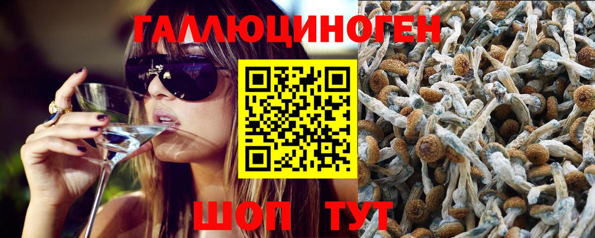 Галлюциногенные грибы мицелий Новочеркасск