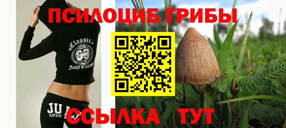 Псилоцибиновые грибы Magic Shrooms  Вход с VPN  Новочеркасск 